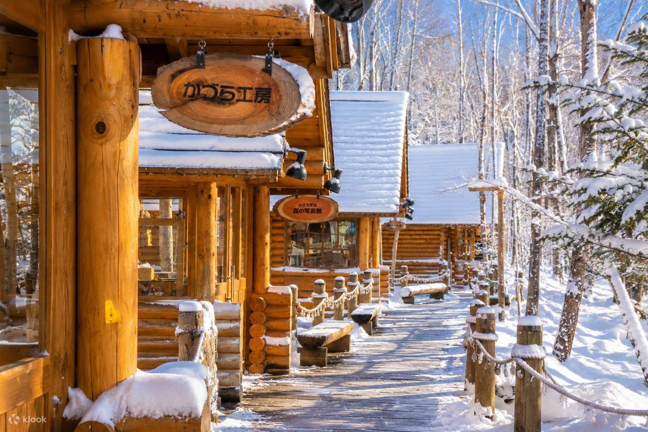 スノーインサマー Departing from Sapporo: Furano & Biei Winter Day Tour | Shikisai